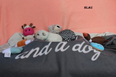 1_blau3
