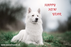 20180101-happynewyear