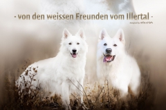 20180205-Aufgebot