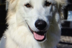 20190222-WA0004