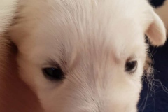 20190706-WA0018