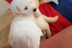 20190706-WA0023