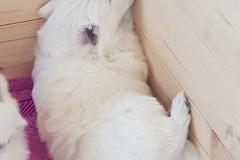 20190710_150424