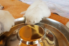 20190710_160323