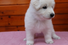 20190720-lila-1603.1