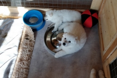 20190727_082356
