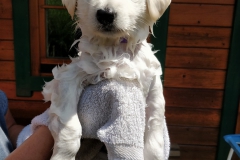 20190730-lila-124604