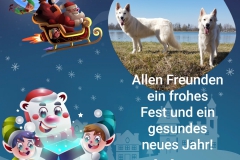 20201224-Weihnachtsgruss