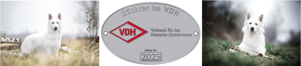 Startseite Bild,2025